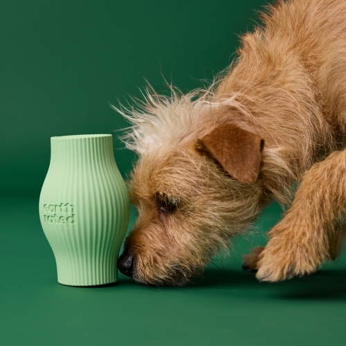 earth-rated-earth-rated-treat-toy 